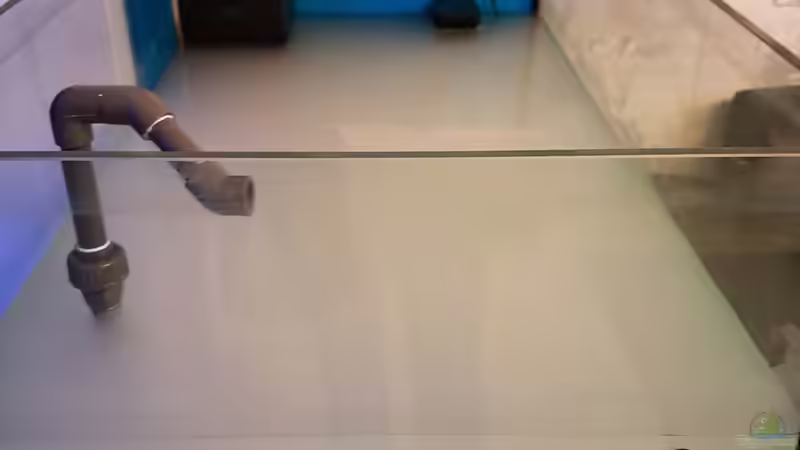 Troz mehrfachem Waschen .  von Kai Heermann (9)