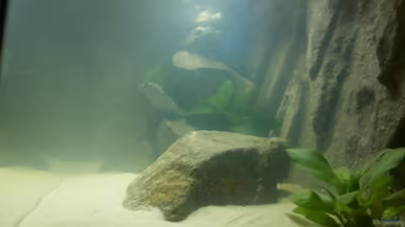 trüb trüb... von Julien Preuß (7)