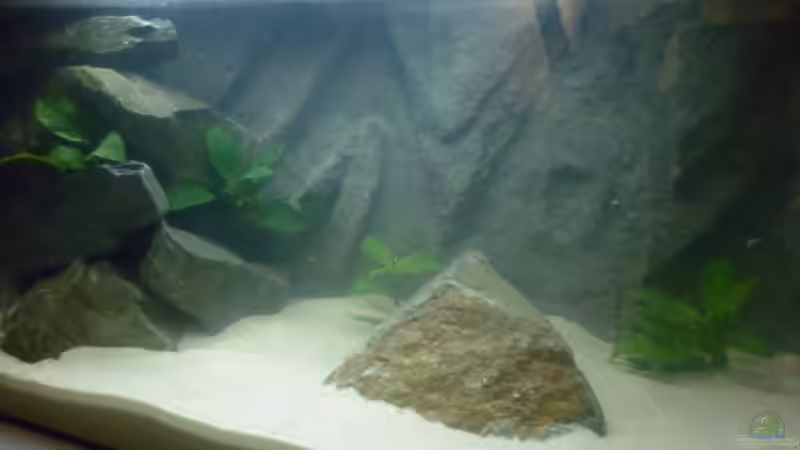 trübe Brühe... von Julien Preuß (6)