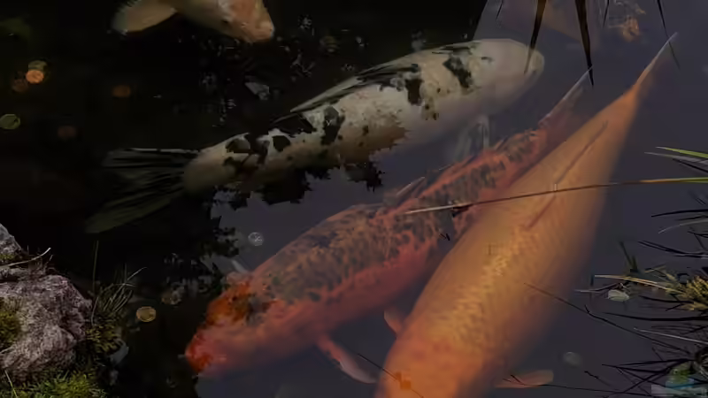 Trübes Wasser im Gartenteich: Ursachen, Lösungen und nachhaltige Vorbeugung