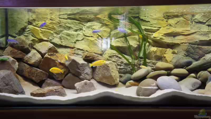 Trübung ist nun weg von Richy (4)