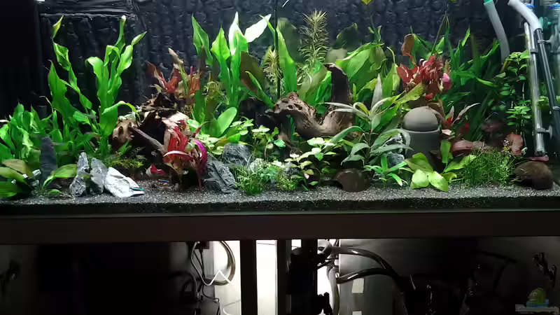 tueren offen licht im schrank von phrankdiddie (4)