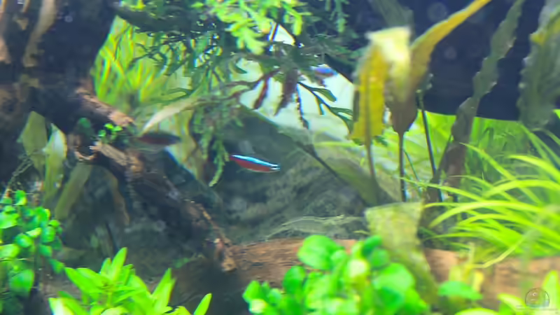 Tunnel unten von disco-d (22)