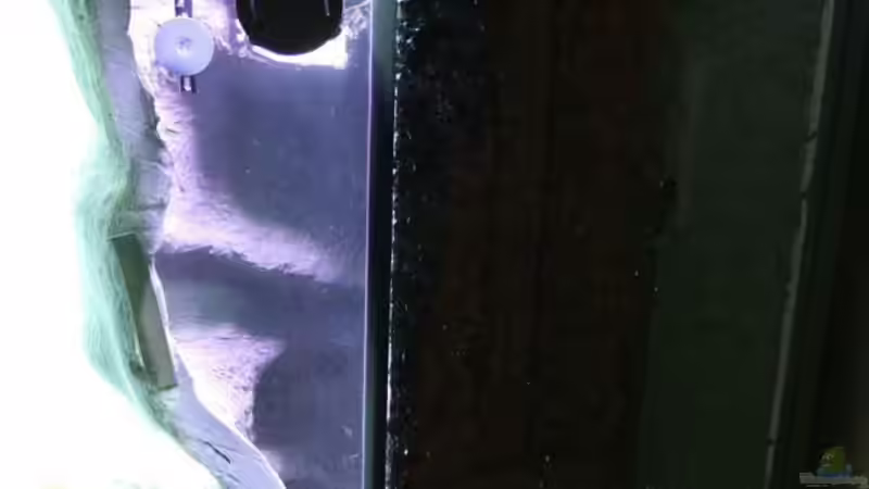 Tunze + Temp.- Sensor von Vision112 (23)