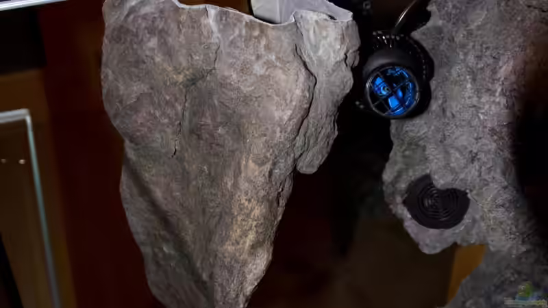 Tunze, versteckt hinter Felsmodul von Markus Walter (19)