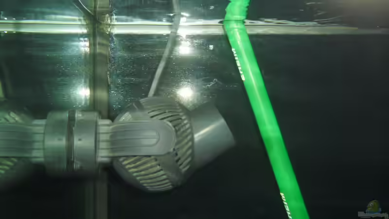 Tunze 6015 von Cichlidenfan (3)