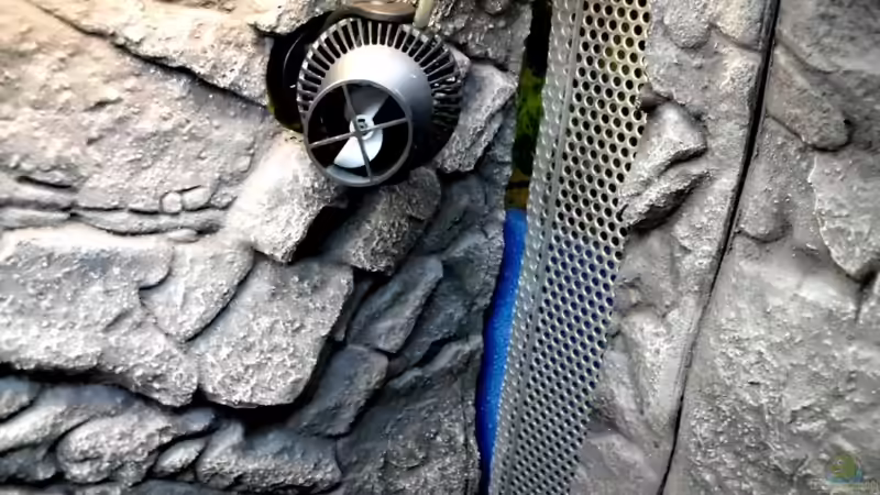 Tunze 6025, rechte Beckenseite von die Perle... (17)