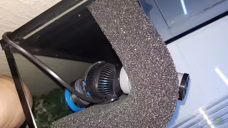 Tunze 6025 mit HT Rohr als Verlängerung von Venustus (5)