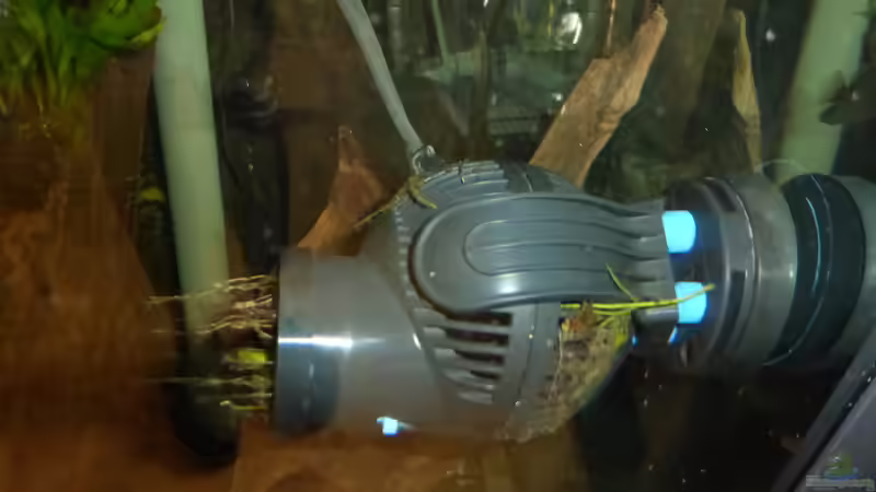 Tunze 6045  von Blackwater (12)