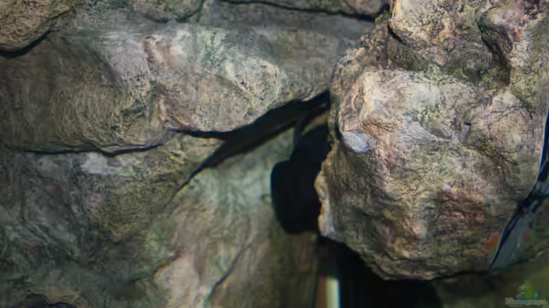 Tunze 6045 hinter Modul von Koehler (25)