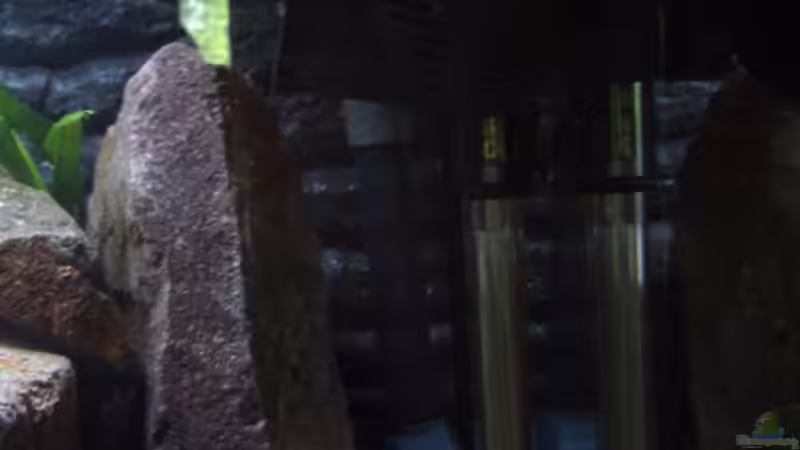 Tunze 6045 und Sera Heizstab 330W von various77 (10)