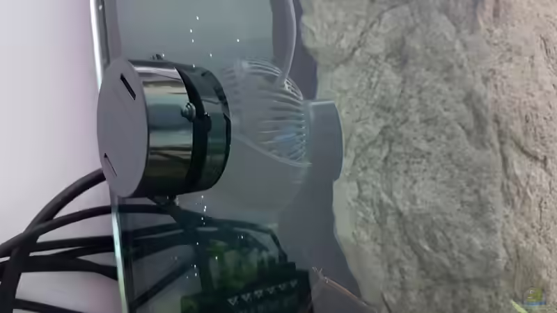 Tunze 6085 von Amazonasbecken.eu (15)