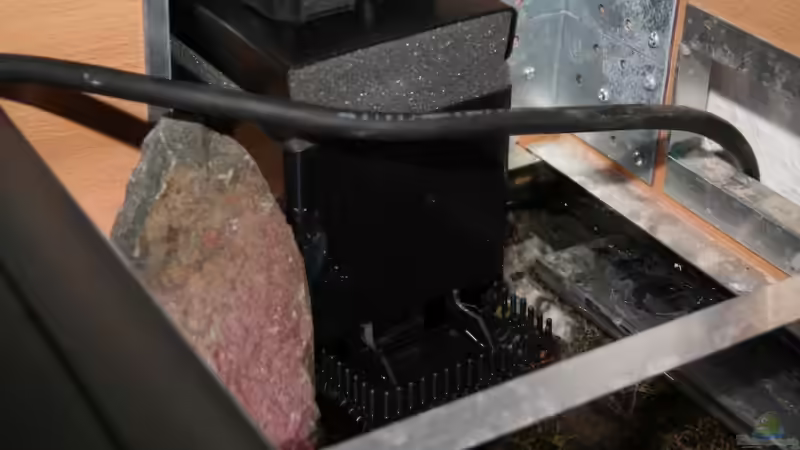 Tunze ??berlauf für Filterbecken von Applehorsti (32)