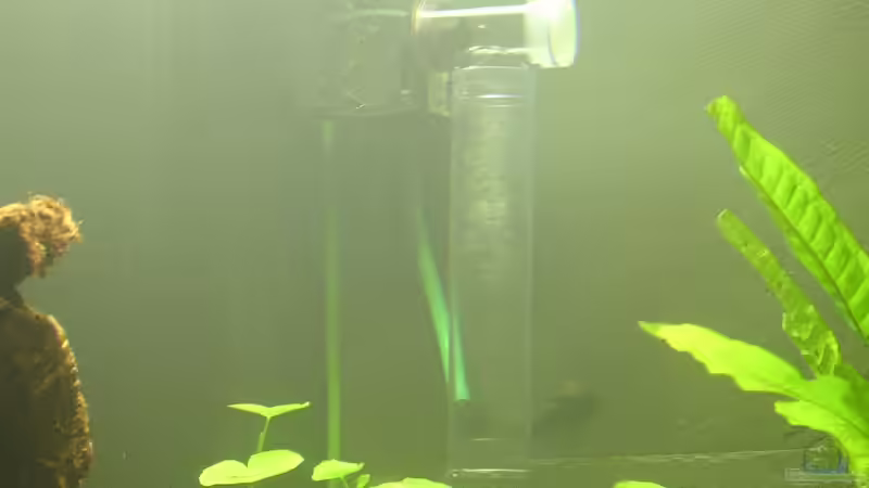 Tunze CO2-Diffusor von Christian Grunwald (48)