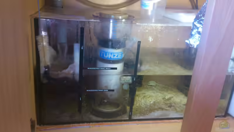 Tunze DOC Skim 9410 (mein dritter und bisher bester Abschäumer) von Bluewater (10)