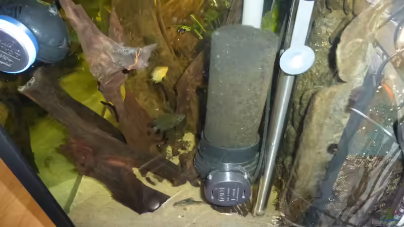 Tunze e-jet 5005 von Blackwater (13)