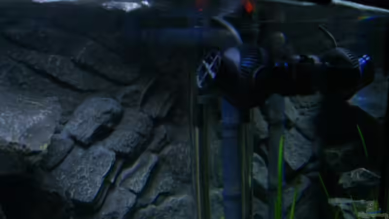 Tunze nanostream 6025 von J.Co. (8)