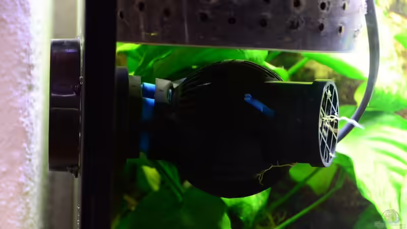 Tunze Nanostream 6045 mit Magnethalter von Gallius (6)