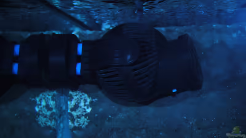 Tunze nanostream 6045 von Kevin (8)