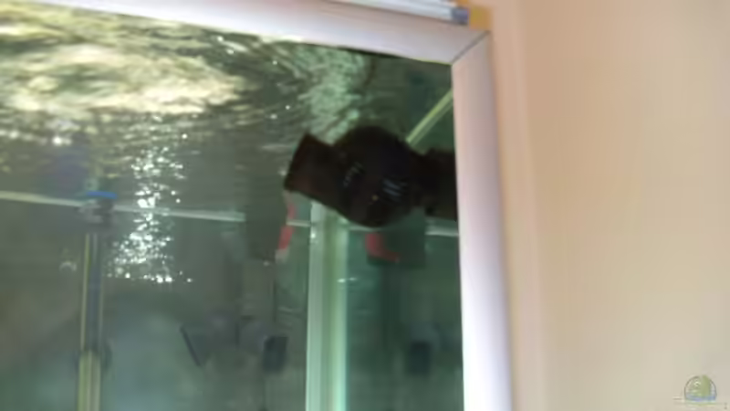 Tunze Nanostream 6045 von MalawiHB (9)