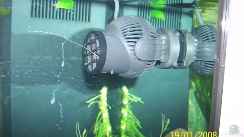 Tunze Nanostream von Markus Lammert (11)