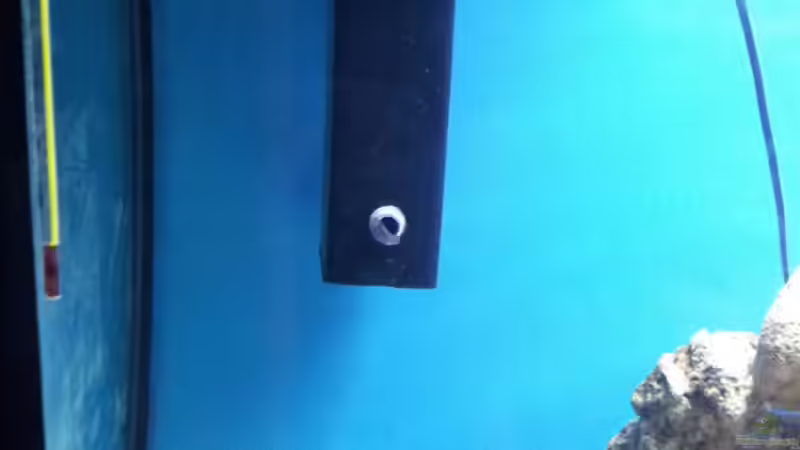 Tunze Oberflächenfilter von Christian Höse (26)