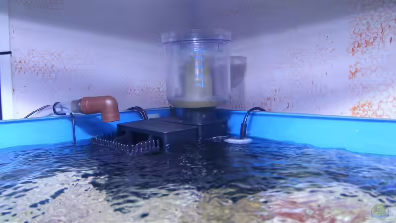 Tunze Reefpack bei der arbeit von Dirk Schäfer (26)