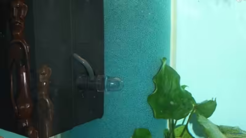 Tunze Riverpack, HMF von Marius L. (13)