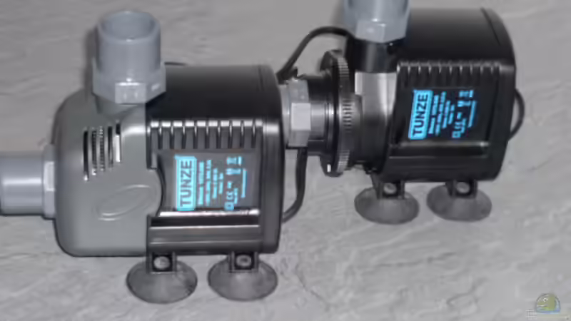 Tunze Silence. Stark und leise von OldFriend (20)