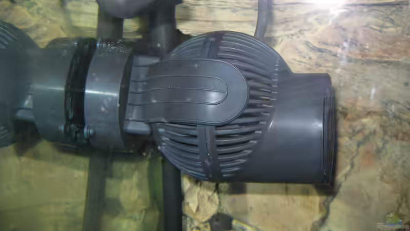 Tunze stream 6125 von The Duke of woods (28)