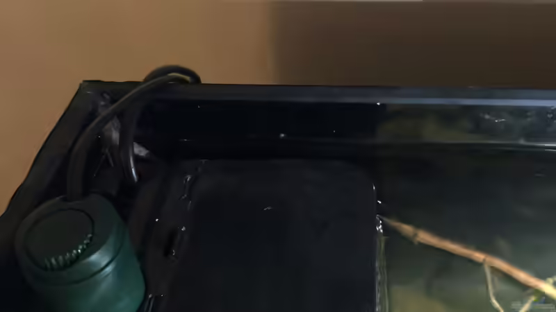 Tunze Streamfilter 3163 mit Sera Heizer von schroepse (16)