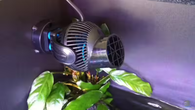 Tunze Strömungspumpe von flightsim (56)