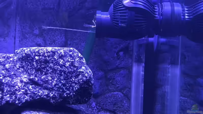 Tunze Turbelle 6045 von CJ (12)