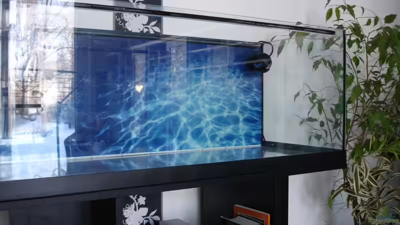 Aquarien mit Tunze Turbelle nanostream