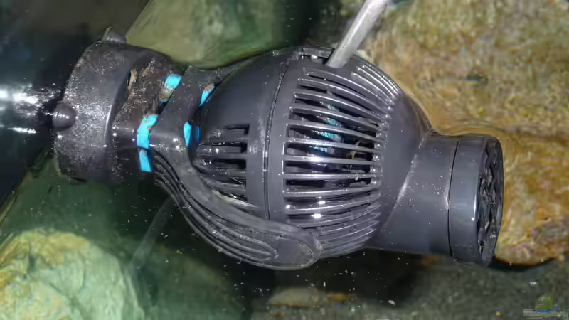 Tunze Turbelle nanostream 6045 von DER YBBSTALER (65)