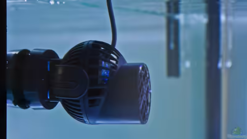 Tunze turbelle stream 6105 von MH (12)