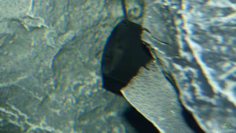 Tunze Turbelle® nanostream® 6025 versteckt hinter einem an die Seite geklebten Steinmodul. von Okrim (30)