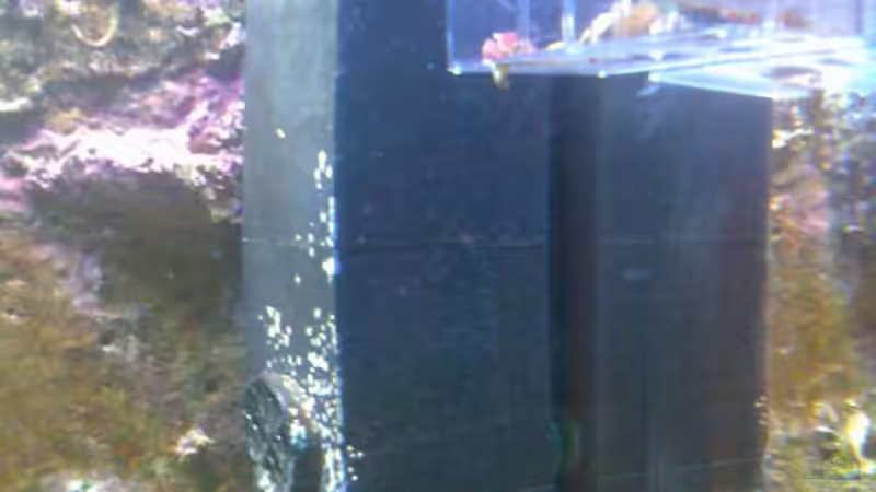 Tunze Wavebox von Olaf Richter (6)