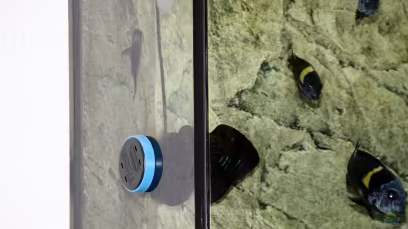 Tunze Wavemaker von Maclya (14)