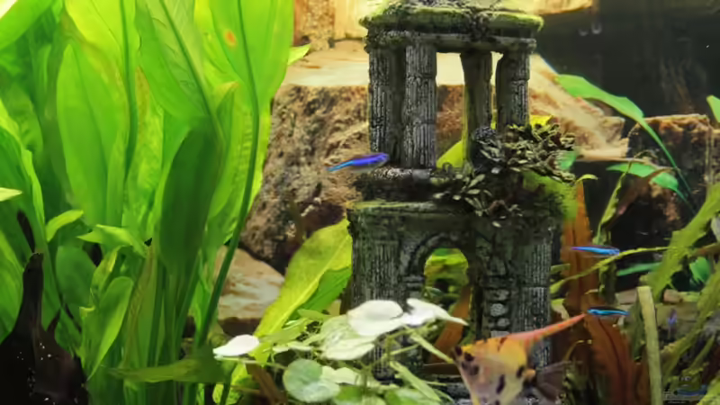 Turm von tomsabi (4)