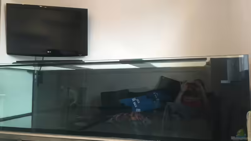 TV hängt von Thomas S-H (11)