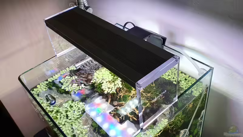 Twinstar RGB LED Light II 300CC von Marco B. (24)