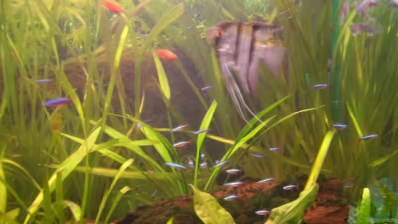 über der rechten Wurzel (drunter passiert auch immer ne Menge :-)) von Sirko Fricke (11)