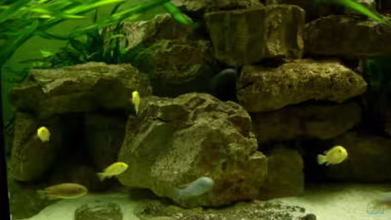 überall Felsen ,hier gibt es viele Verstecke von Mats (29)