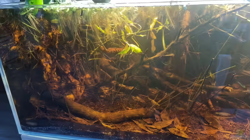 Überarbeitung Boden von Rainooo (36)