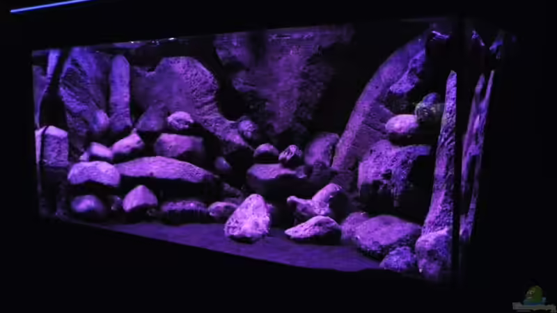 übergang ins nachtlicht von LaEy (9)