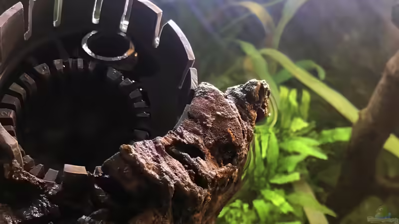 Überlauf und Notüberlauf versteckt in einer Korkröhre  von JonnyGranato (14)