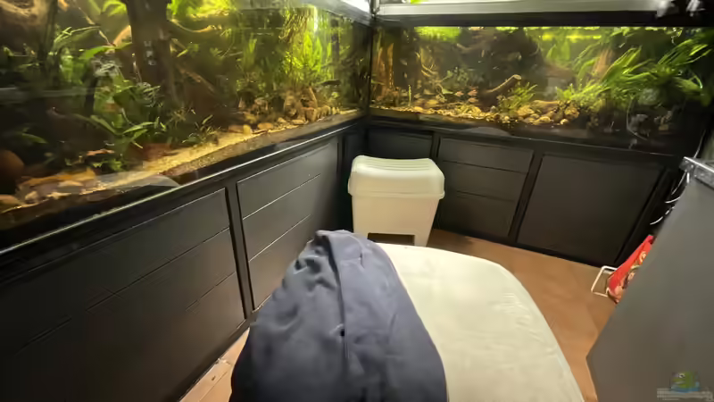 Übersicht von cws (7)