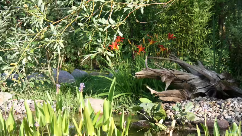 Uferbereich 23.07.2013 von Susanne Axt (12)