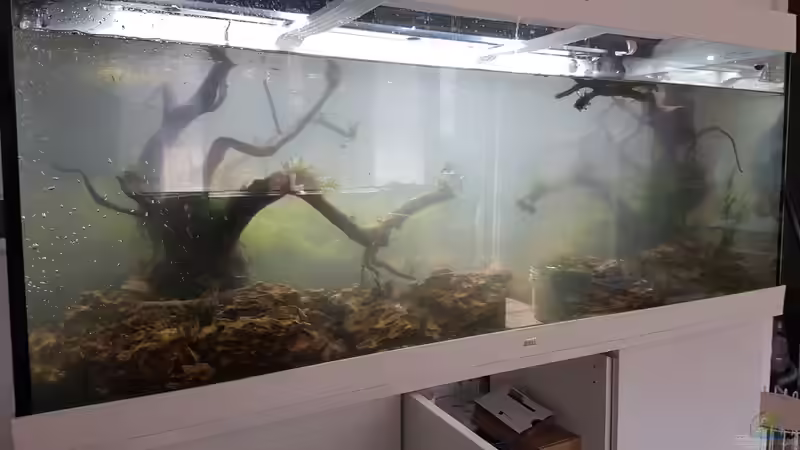 Umbau...neu  einrichten war einfacher ???? von Köllebärbling (16)